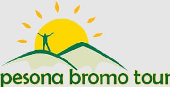 Mt Bromo Prewedding Package, Bromo Ijen Sukamade Turtle Beach Tour, Mount Bromo - Ijen - Tumpak Sewu Waterfall 4D3N, Ijen Blue Flame Tour Package, Mount Bromo Ijen Sewu Waterfall Malang City Tour, Bromo Ijen Tour Agency