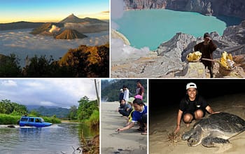 mount bromo ijen sukamade turtle beach tour