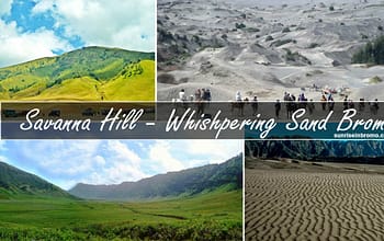 savanna hill and whishpering sand mount bromo