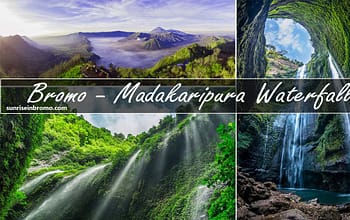 bromo madakaripura waterfall