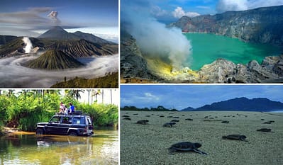 Ijen sukamade turtle beach bromo tour