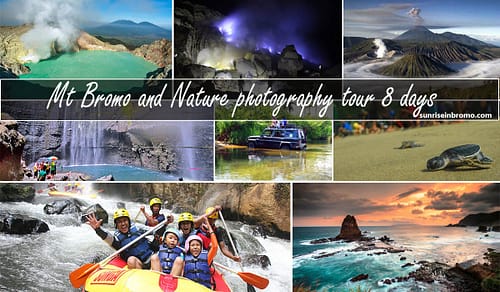 Mount Bromo and Nature Photography Tour 8 Days